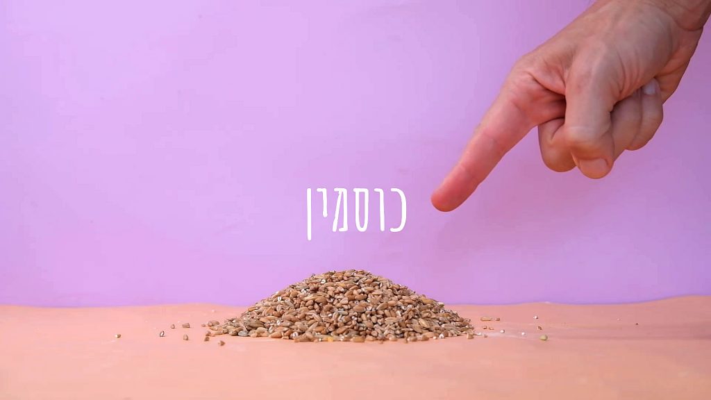 מה ההבדל בין כוסמת לכוסמין? 