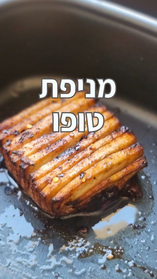 מניפת טופו