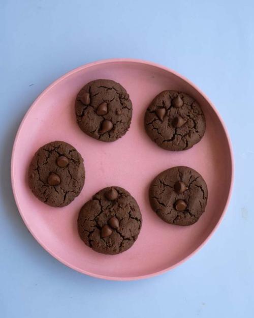 Vegan Chocolate Protein Cookies